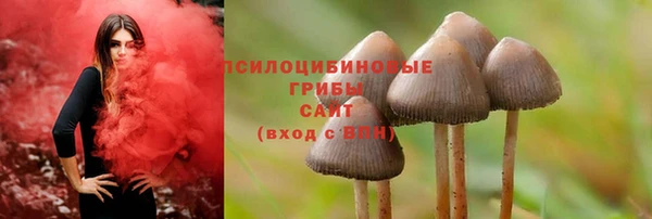 спайс Новозыбков