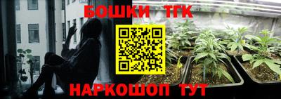крисы Пугачёв