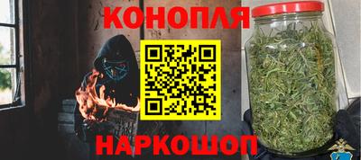 шишки Пушкино