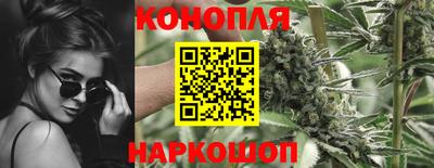 крисы Пугачёв