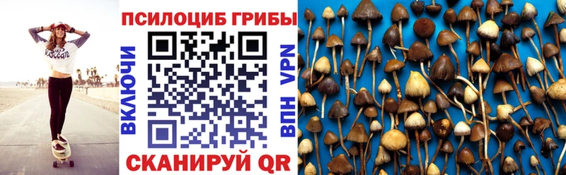 Псилоцибиновые грибы Psilocybine cubensis  Хабаровск 