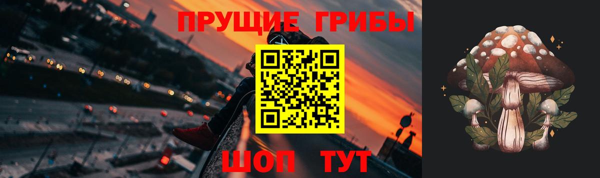 Галлюциногенные грибы GOLDEN TEACHER Хабаровск